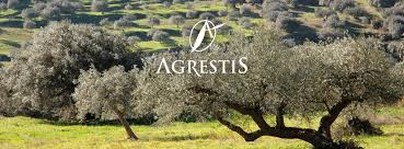 Discovering Agrestis: Sicily’s Award-Winning Olive Oil & Olive Producer